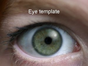 Eye template Example bullet point slide Bullet point