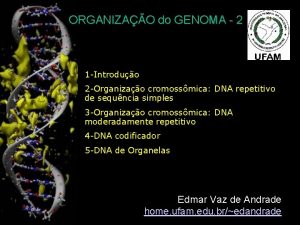 ORGANIZAO do GENOMA 2 1 Introduo 2 Organizao