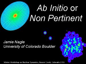 Ab Initio or Non Pertinent Jamie Nagle University