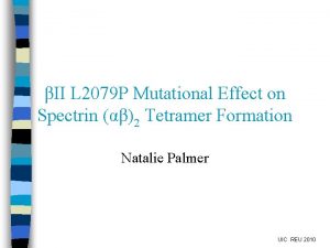 II L 2079 P Mutational Effect on Spectrin