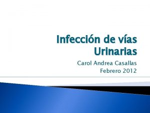 Infeccin de vas Urinarias Carol Andrea Casallas Febrero