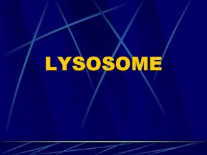 LYSOSOME Cells Digestive System Lysosomes l l Vesicles