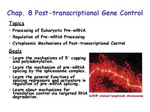 Chap 8 Posttranscriptional Gene Control Topics Processing of