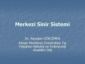 Merkezi Sinir Sistemi Dr Alpaslan GKMEN Adnan Menderes