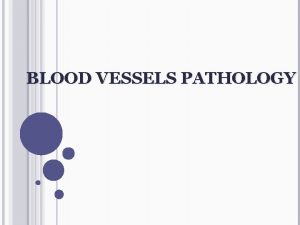 BLOOD VESSELS PATHOLOGY BLOOD VESSELS THE VASCULAR SYSTEM