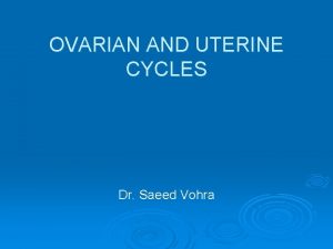 OVARIAN AND UTERINE CYCLES Dr Saeed Vohra Female