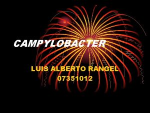 CAMPYLOBACTER LUIS ALBERTO RANGEL 07351012 Caractersticas Son microorganismos