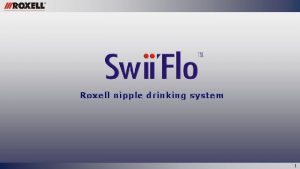 Roxell nipple drinking system 1 A complete nipple