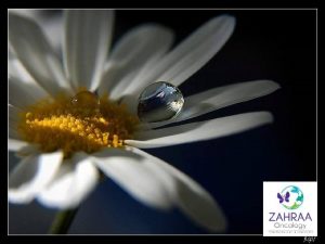 Brief outlook about Zahraa Zahraa Al Zahraa is