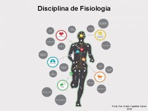 Disciplina de Fisiologia Profa Dra Evelin Capellari Crnio