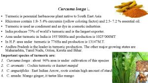 Curcuma longa L Turmeric is perennial herbaceous plant