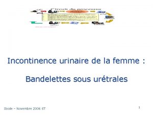 Incontinence urinaire de la femme Bandelettes sous urtrales