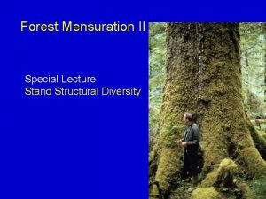 Forest Mensuration II Special Lecture Stand Structural Diversity