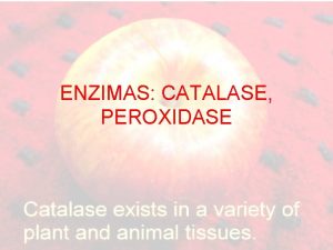 ENZIMAS CATALASE PEROXIDASE Peroxidase Utiliza o perxido de