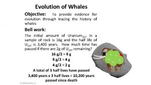 Evolution of Whales Objective To provide evidence for