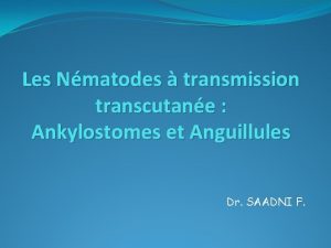 Les Nmatodes transmission transcutane Ankylostomes et Anguillules Dr