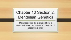 Chapter 10 section 2: mendelian genetics