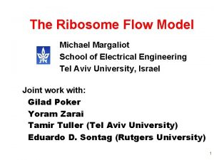 The Ribosome Flow Model Michael Margaliot School of