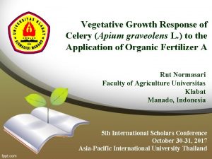 Conclusion of fertilizers