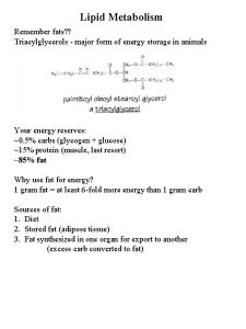 Ketone body metabolism