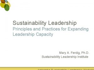 Sustainability Leadership Principles and Practices for Expanding Leadership