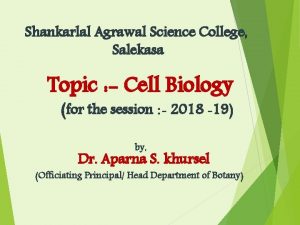 Shankarlal agrawal science college salekasa