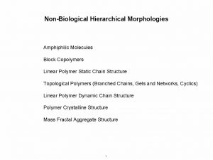 NonBiological Hierarchical Morphologies Amphiphilic Molecules Block Copolymers Linear