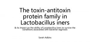 The toxinantitoxin protein family in Lactobacillus iners its