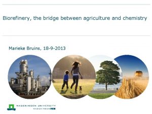 Biorefinery the bridge between agriculture and chemistry Marieke