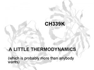 CH 339 K A LITTLE THERMODYNAMICS which is