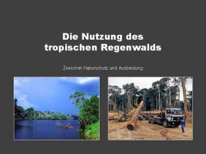 Die Nutzung des tropischen Regenwalds Zwischen Naturschutz und