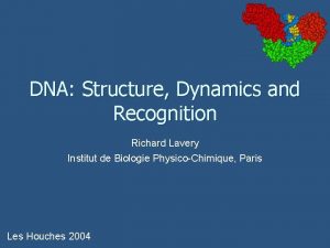 DNA Structure Dynamics and Recognition Richard Lavery Institut