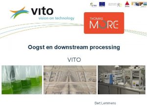 Oogst en downstream processing VITO Bert Lemmens Confidential