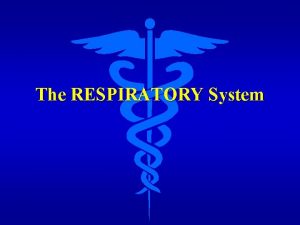 Respiratory system logo