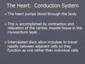 The Heart Conduction System The heart pumps blood