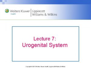 Lecture 7 Urogenital System Copyright 2013 Wolters Kluwer