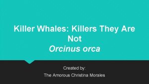 Killer Whales Killers They Are Not Orcinus orca