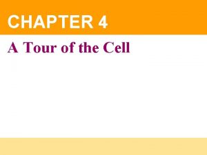 A tour of the cell chapter 4