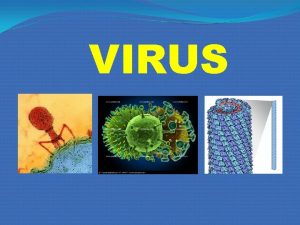 Virus dermotropos