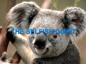 The selfish giant comprehension