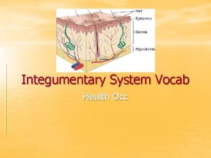 Integumentary system vocabulary
