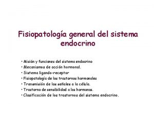 Sistema endocrino Sistema endocrino