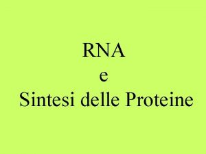 RNA e Sintesi delle Proteine LRNA messaggero m