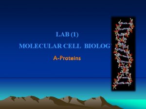 LAB 1 MOLECULAR CELL BIOLOGY Lab 1 Molecular