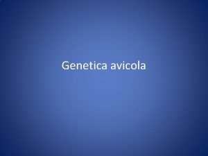 Genetica avicola Specie allevate In base attitudini produttive