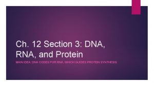 Chapter 12 section 3 dna rna and protein