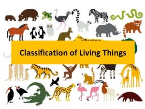 5 groups of living things