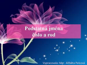 Podstatn jmna slo a rod Vypracovala Mgr Albta