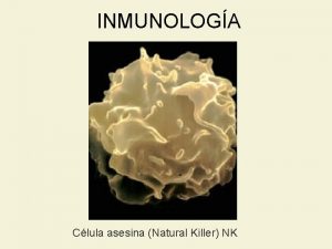 Estructura de una inmunoglobulina