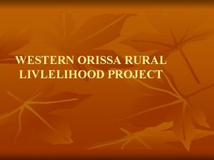 WESTERN ORISSA RURAL LIVLELIHOOD PROJECT WHAT IS SUSTAINABLE